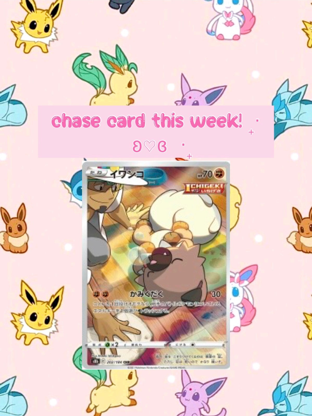 Kute Beginner Bundle